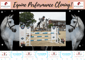 Equine performance cloning
