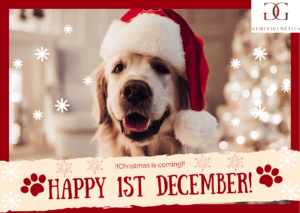 Happy 1st day dec