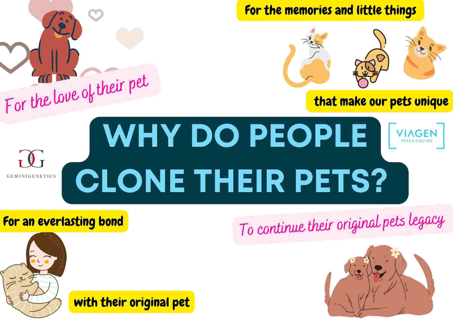 Clone Pets