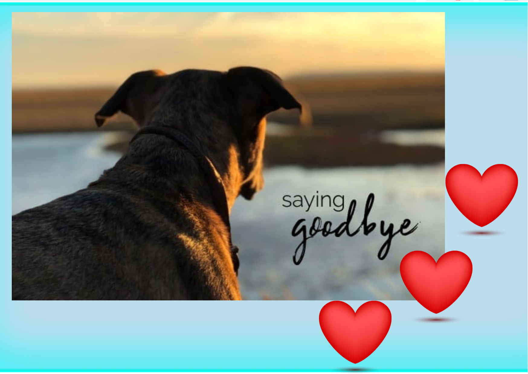 Saying Goodbye