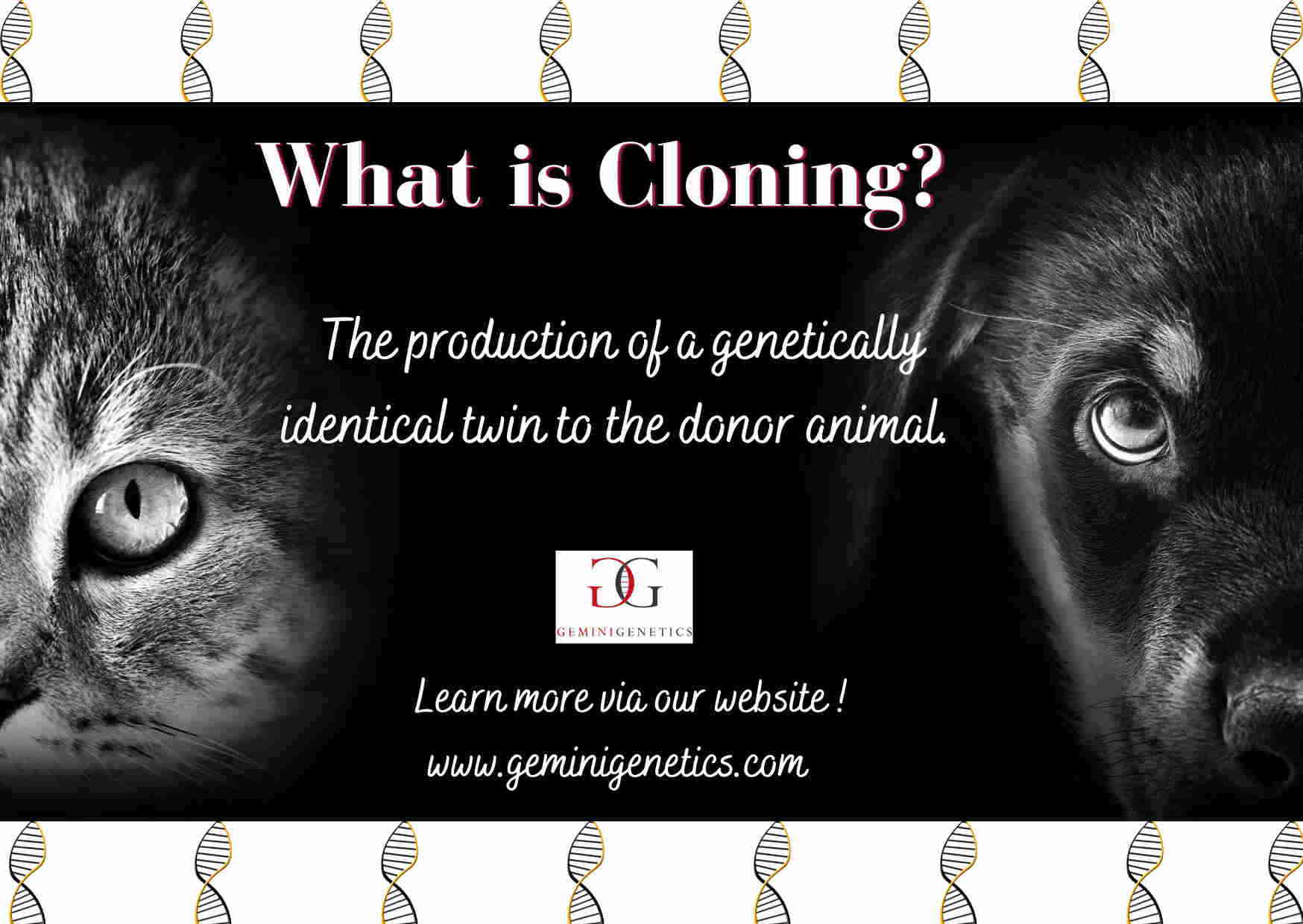 What is Cloning