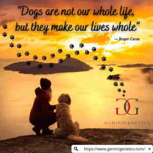 love of dogs