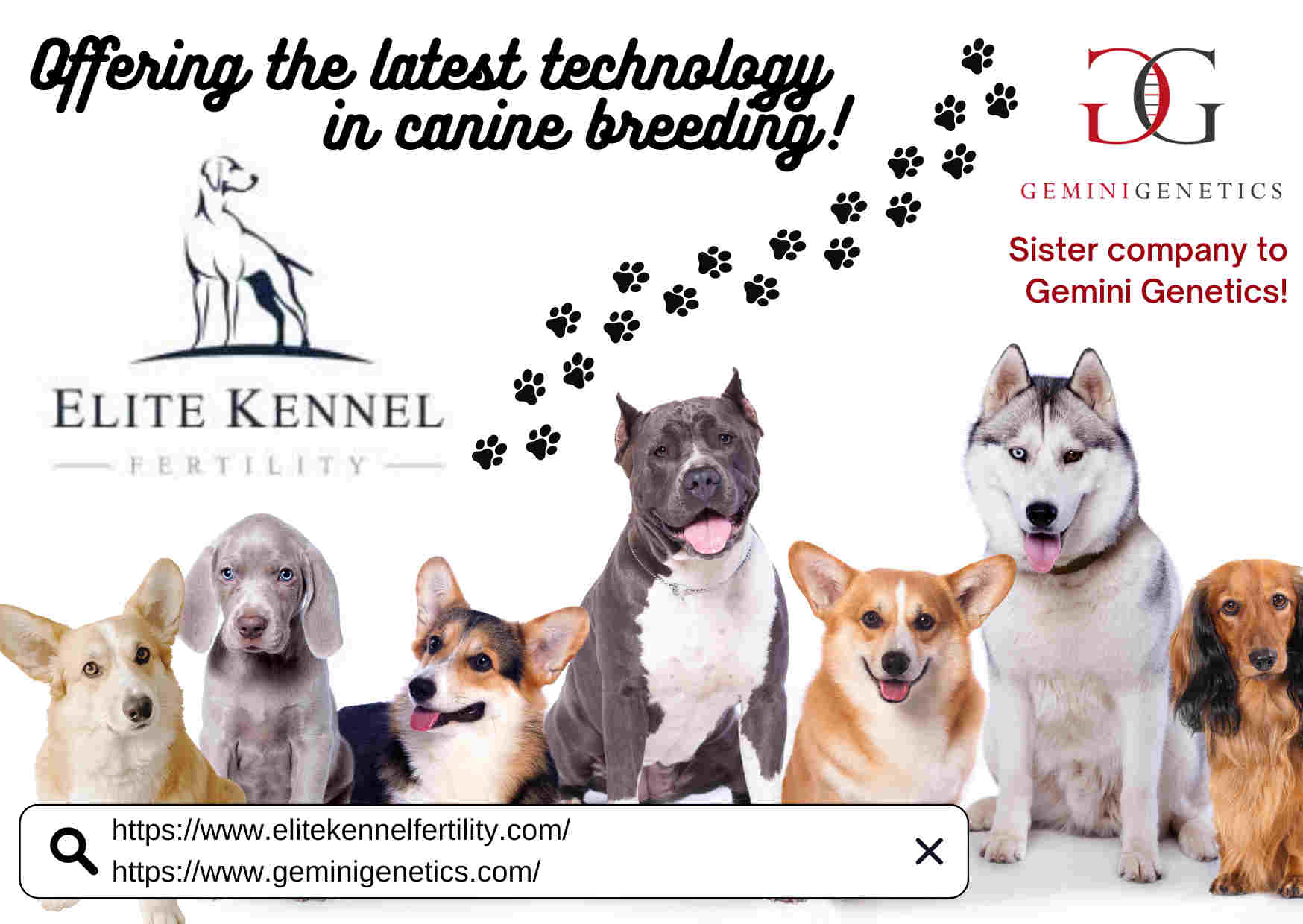 Elite Kennel Fertility