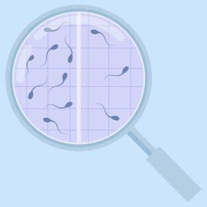 graphic of sperm under magnifying glass