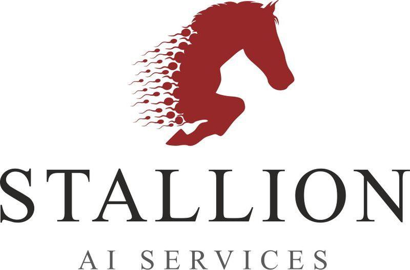 Stallion AI logo