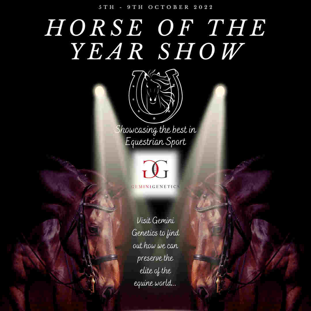 Horse Of The Year!