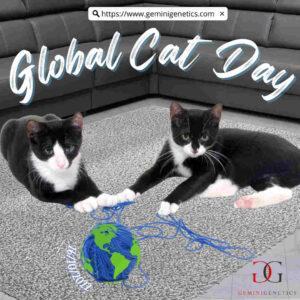 Global Cat Day