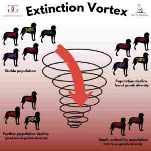 Extinction Vortex