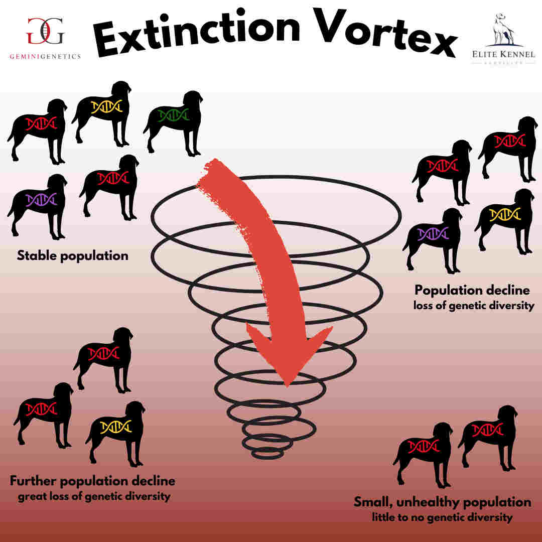 Extinction Vortex