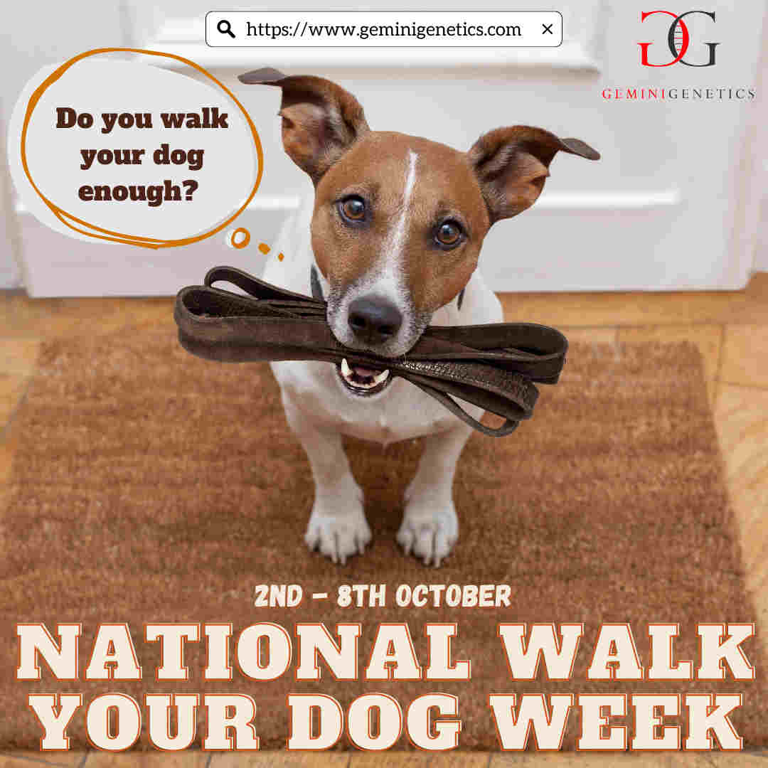 National Walk Your Dog Week!