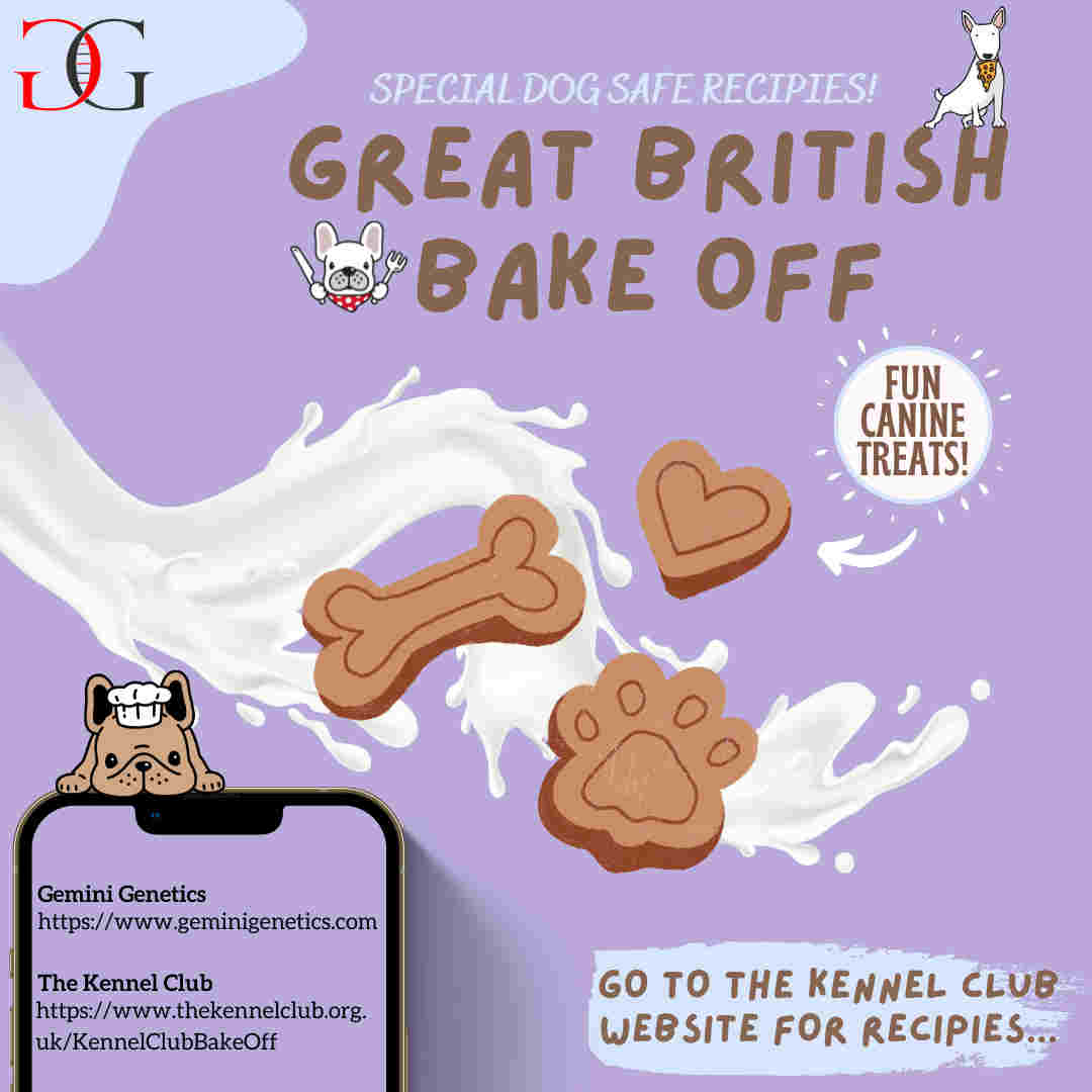 Great British Bake Off