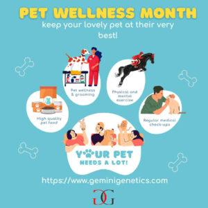 Pet wellness month