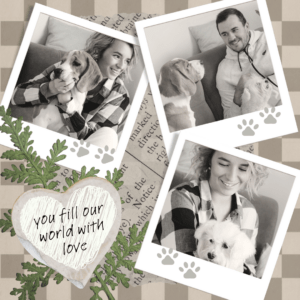 Pet Memorial Options