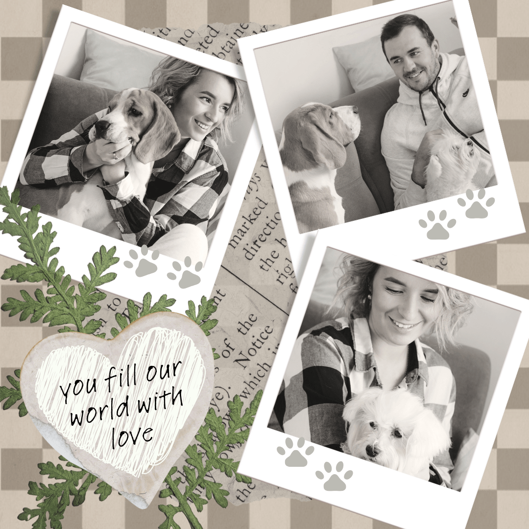Pet Memorial Options