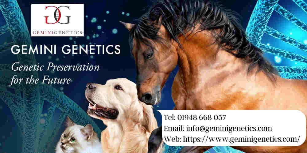Gemini Genetics. Cat Cloning. Dog Cloning. Horse Cloning.