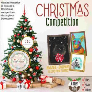Gemini Genetics Christmas Competition