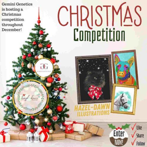 Gemini Genetics Christmas Competition