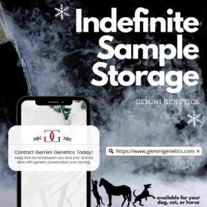 Pet genetic preservation