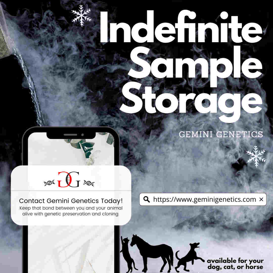 Pet genetic preservation