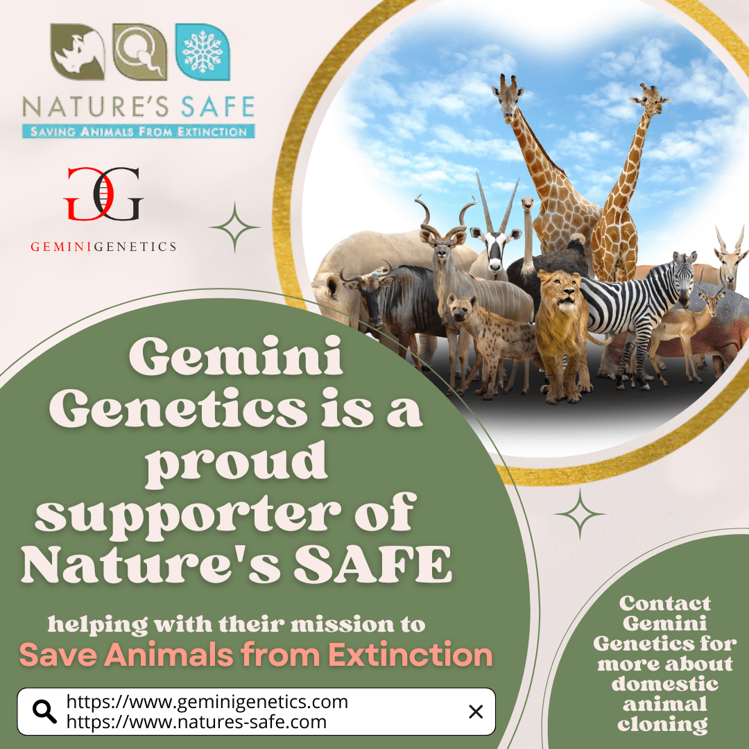 We Help Save Animals From Extinction! Charity Nature's SAFE | Gemini  Genetics
