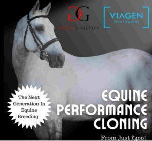 Equine Cloning