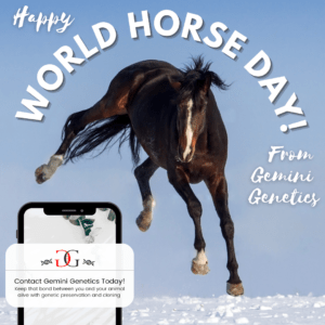 Clone your Horse