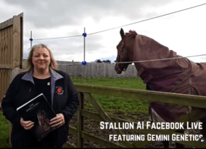 Stallion AI Services Facebook live