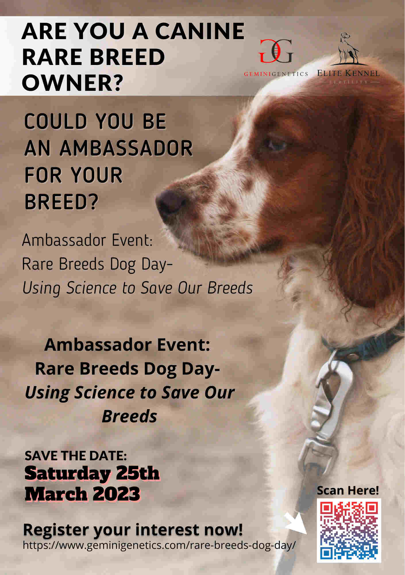 breed ambassador