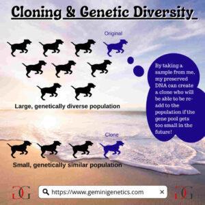 cloning for genetic diversity