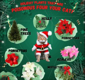 Be Cat Safe This Christmas