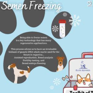 Canine Semen Freezing