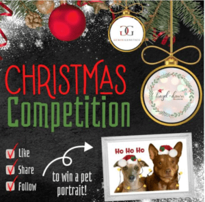 Christmas competition enter to win