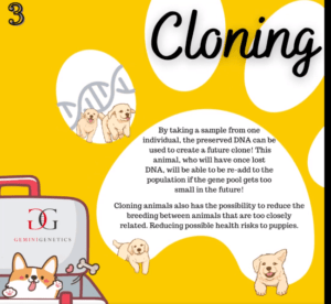 Cloning to save species