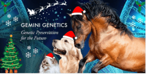 Happy Christmas!