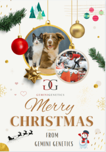 Happy Xmas