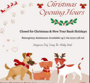 Our Xmas Opening Hours