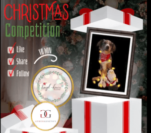 Xmas Competition enter now