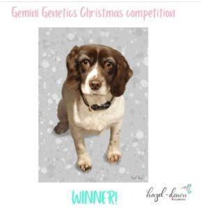 Competition Winner