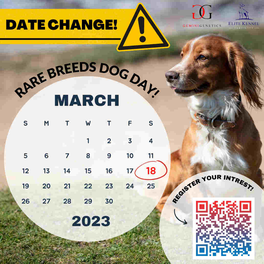 Rare Breeds Dog Day - new date
