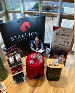 Stallion AI Services