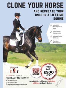 clone your horse dressage