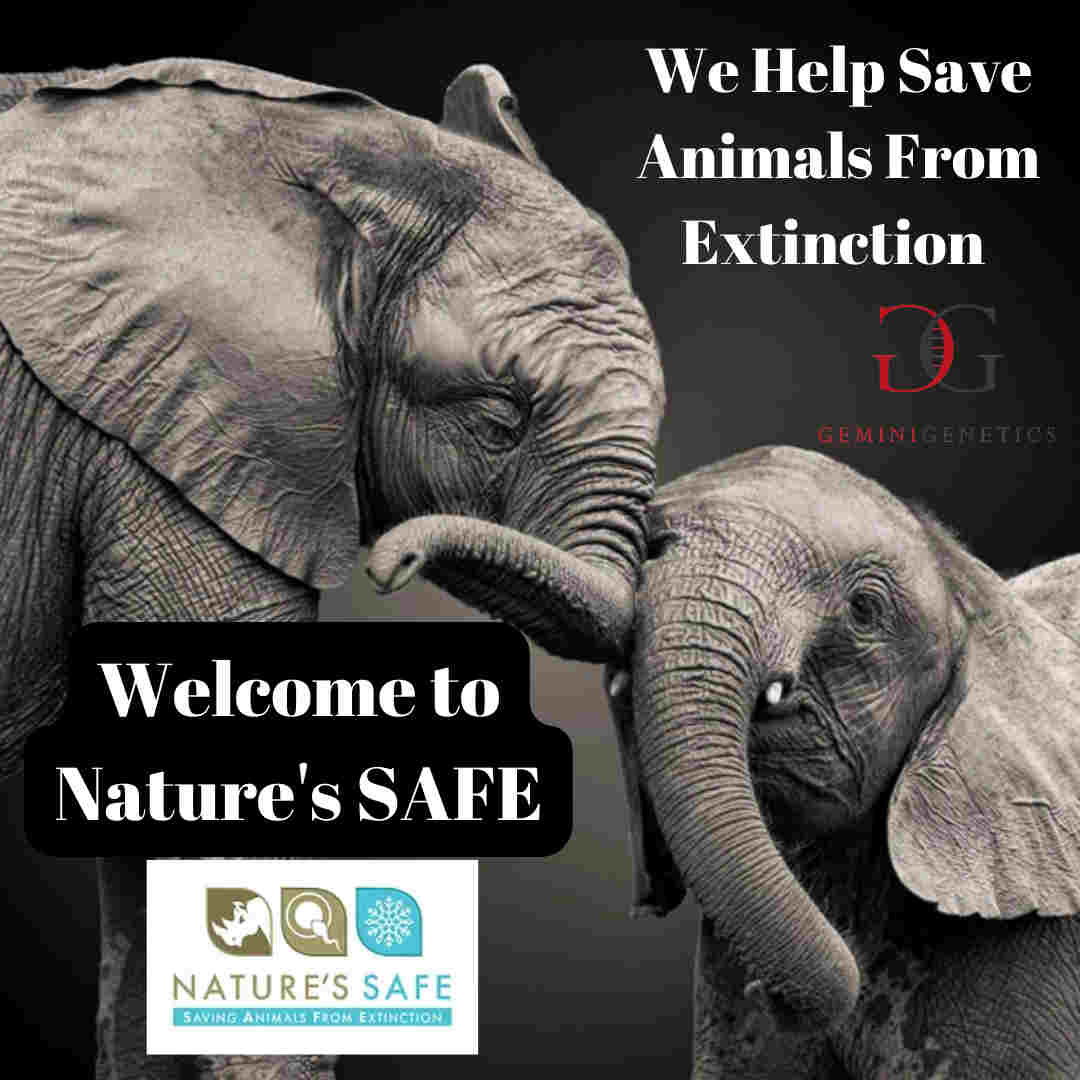 Natures SAFE Charity