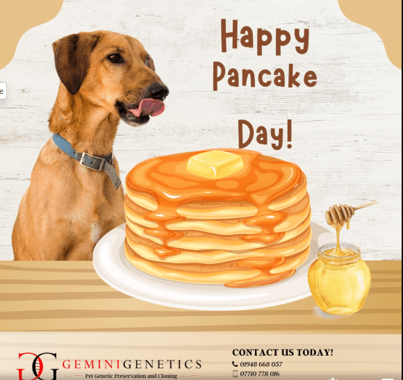 Pancake Day For Dogs