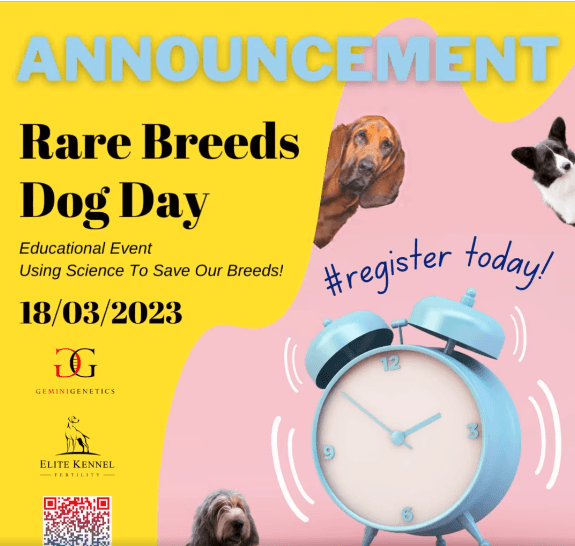 Rare Breed Dog Day
