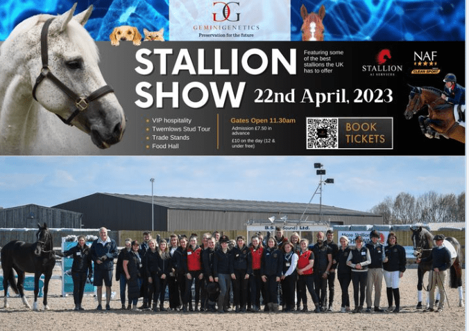 stallion ai services Open Day 2023