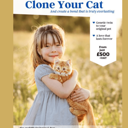 Clone Your Cat