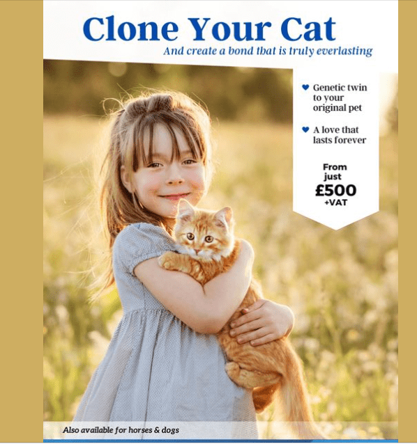 Clone your cat