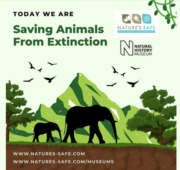 Natures SAFE SAVING ANIMALS EXTINCTION