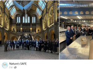 Natures safe natural history museum