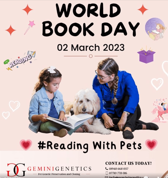 world book day